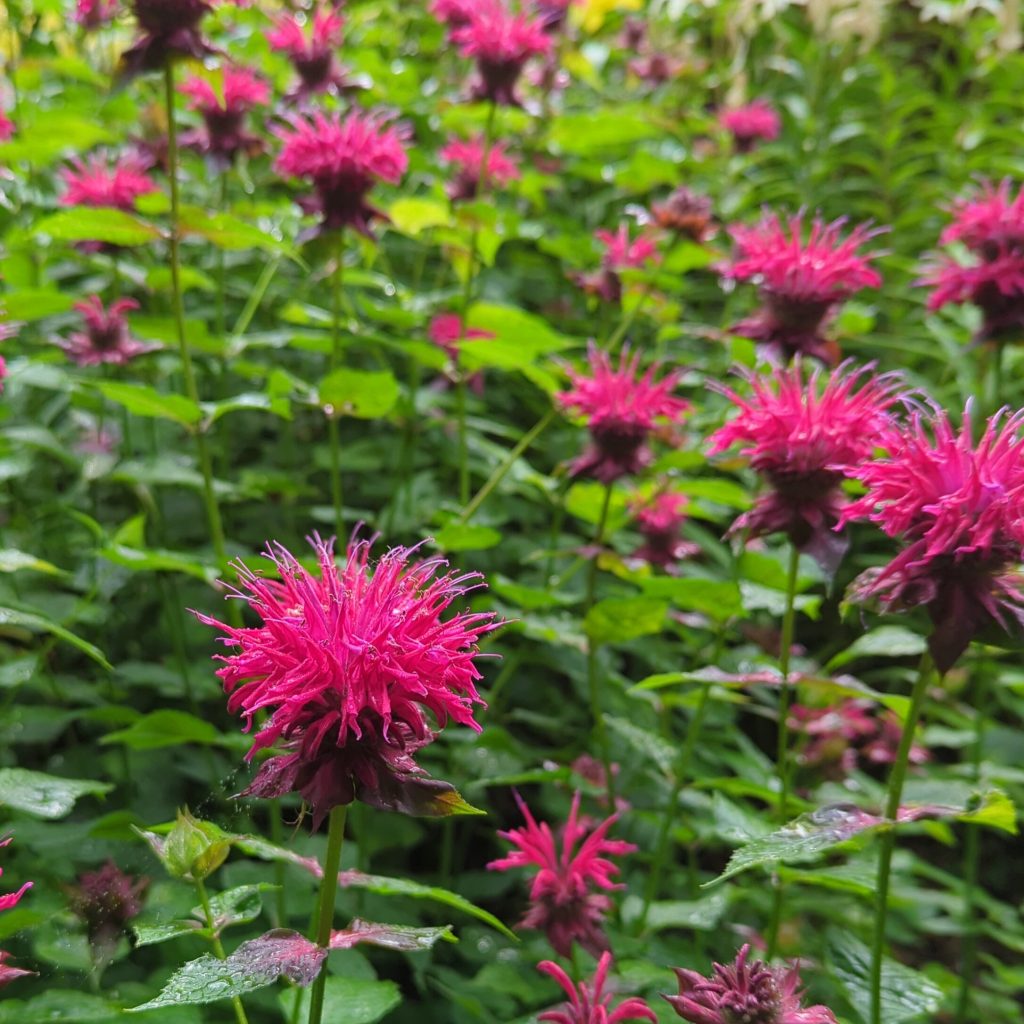 69e43fcc-6211-45b6-8eaf-bff43a6cff3a