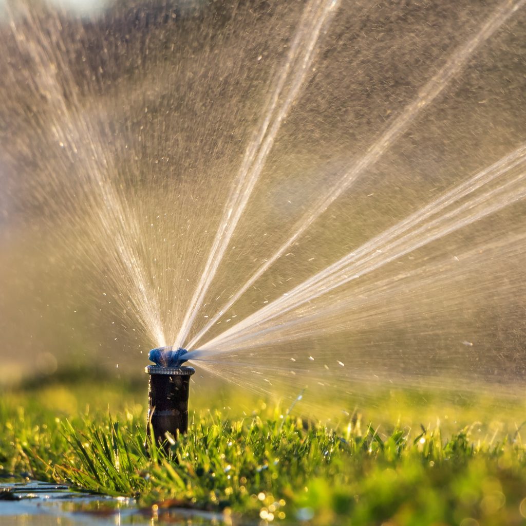 6db5bc87-a622-4a90-8beb-1783c2fe6f86